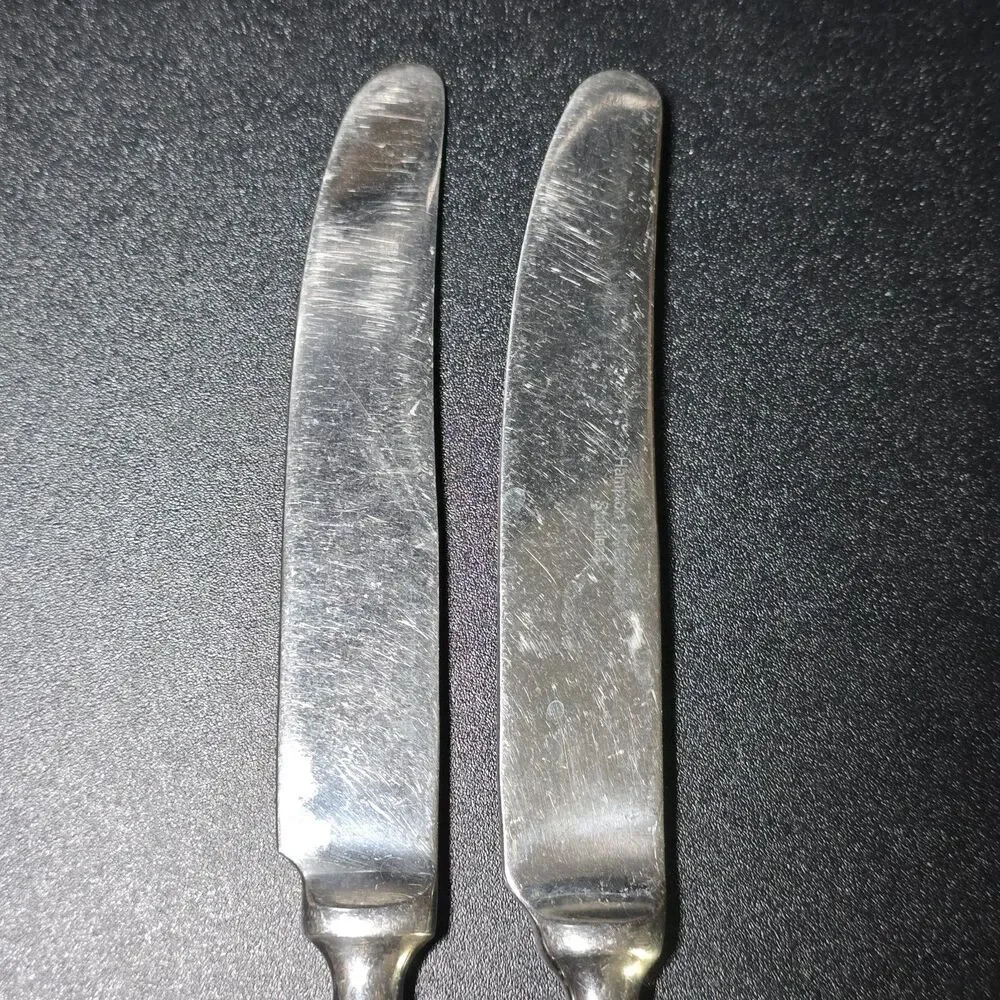 Hampton Silversmiths BISTRO-GREEN 2 Knives Knife Stainless Flatware